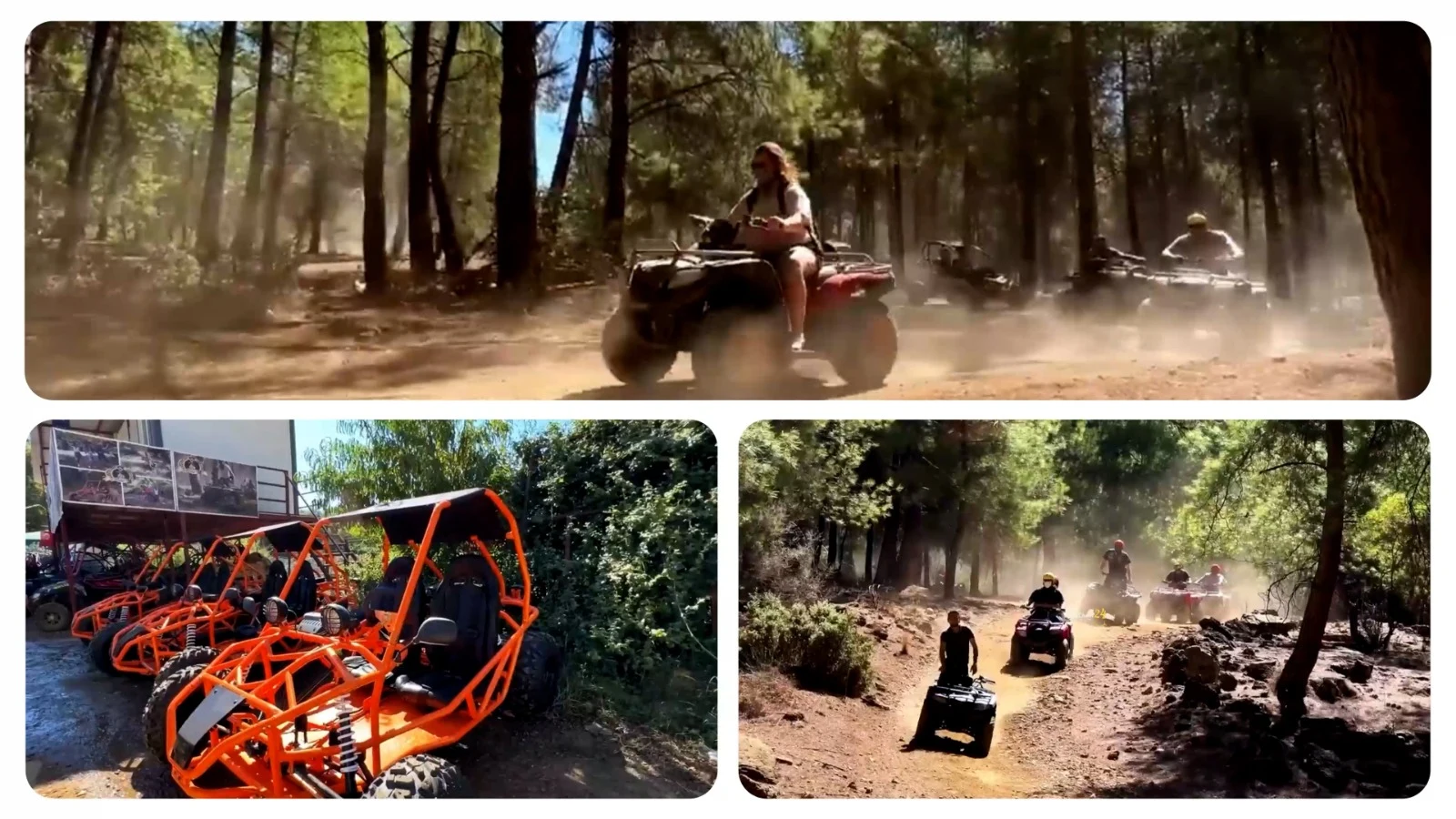 Jeep Buggy Quad Safari Vergleich